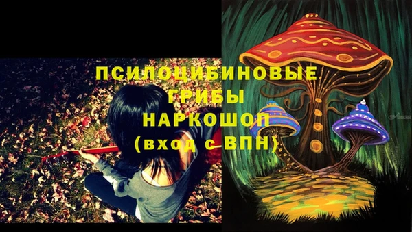 гашик Балахна