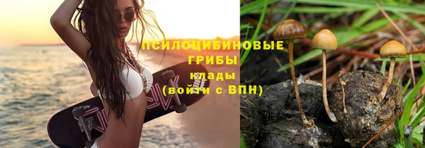 молекула духа Балабаново